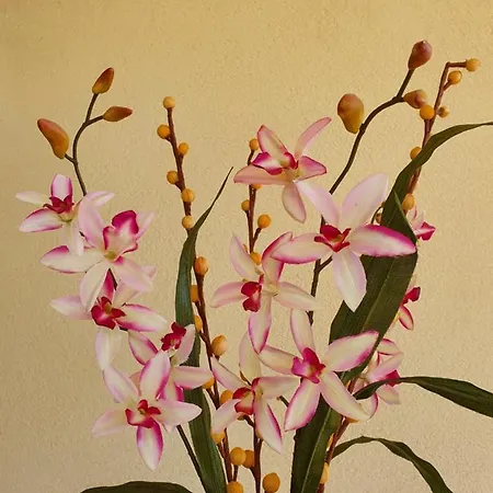 Villino Maria Elena 公寓